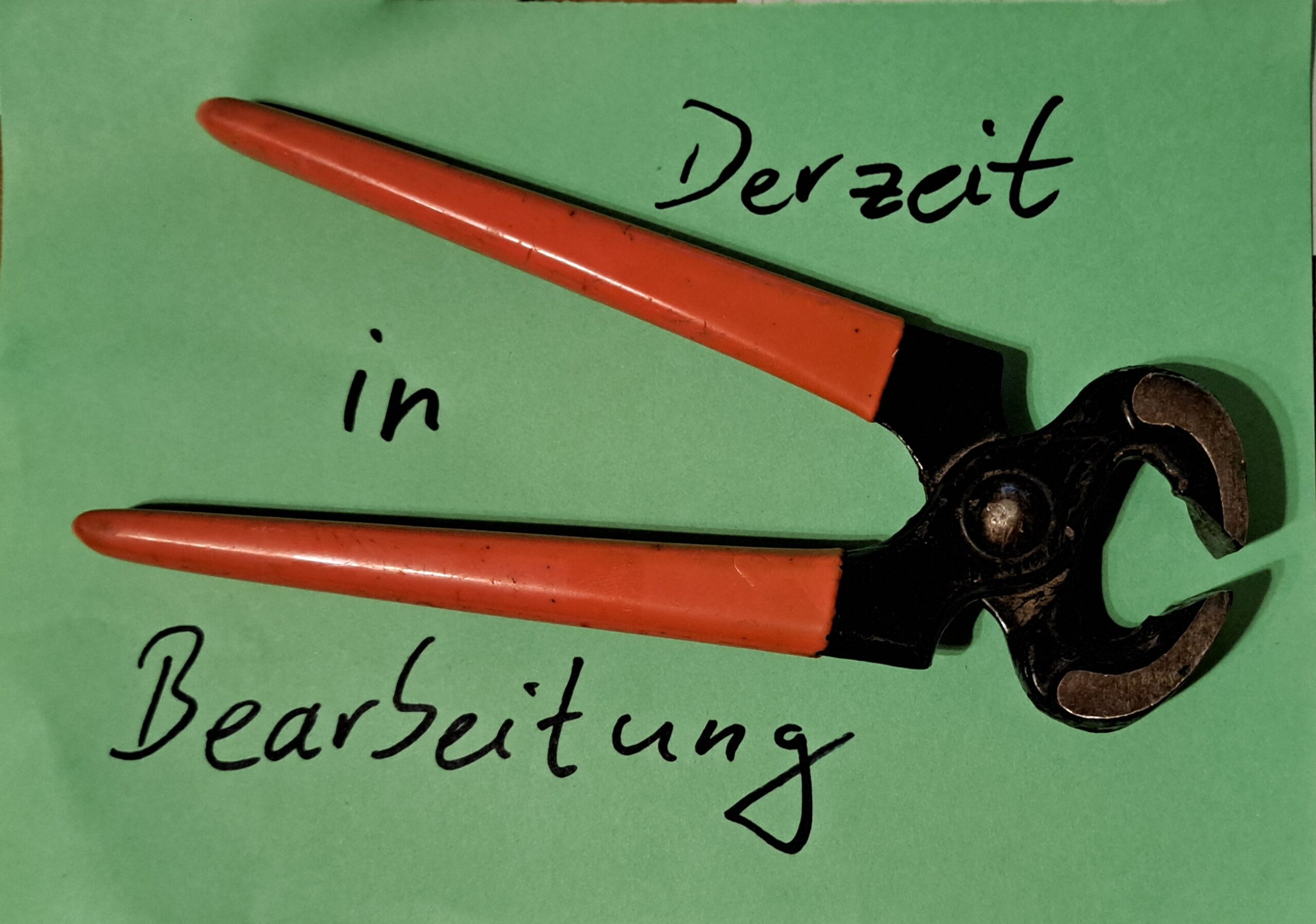 Organigramm Seraphisches Libeswerk